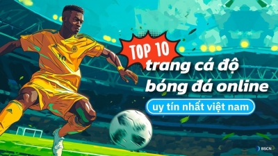 Khái quát trang cá cược bóng đá tại trangcacuocbongda.lat